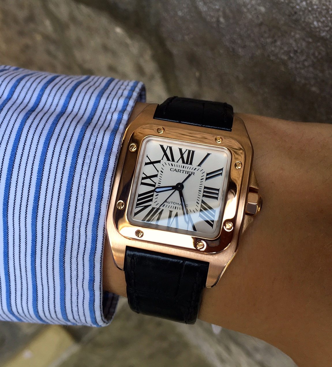 citizen eco drive used watches