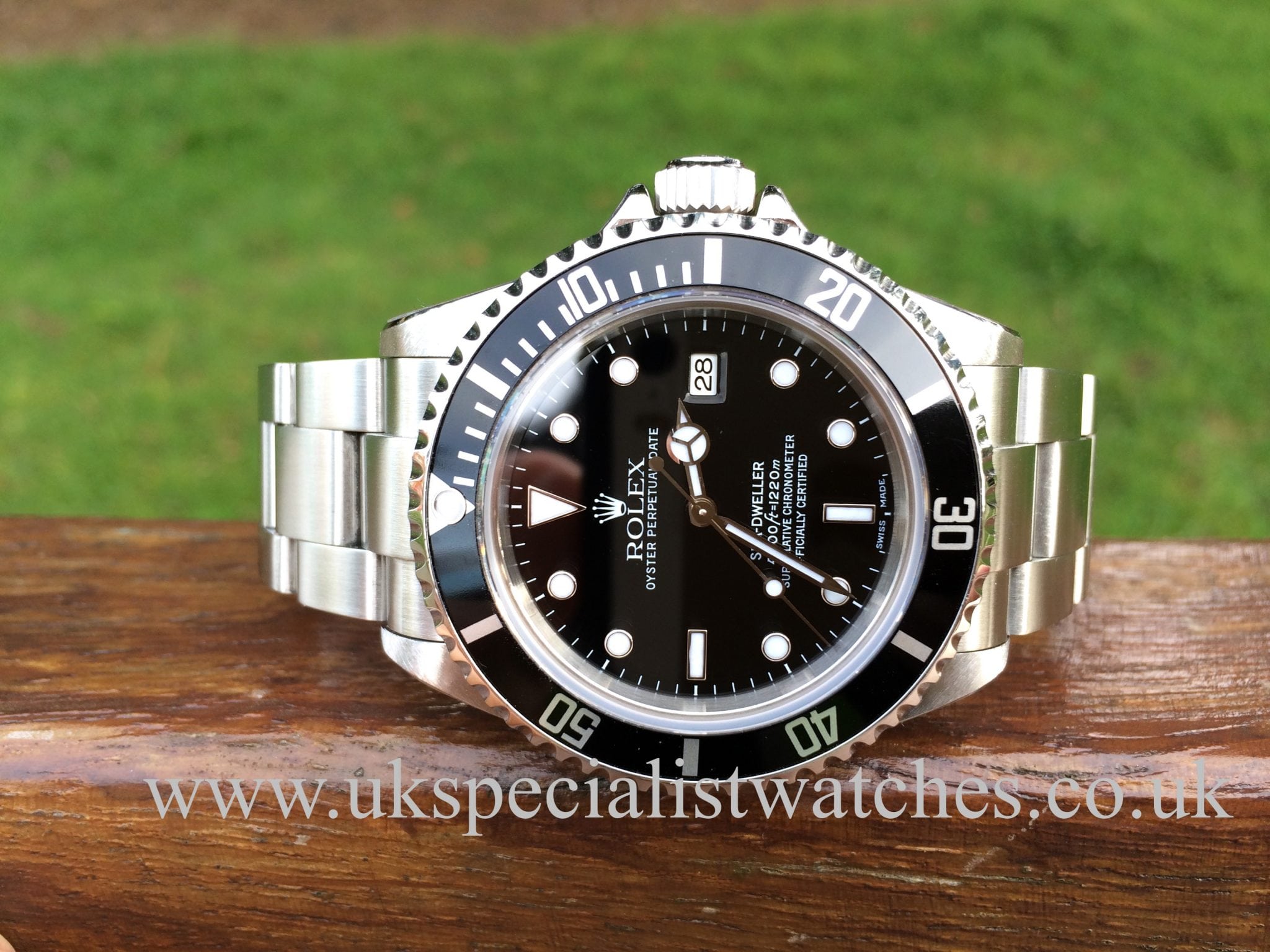 rolex 16600 for sale