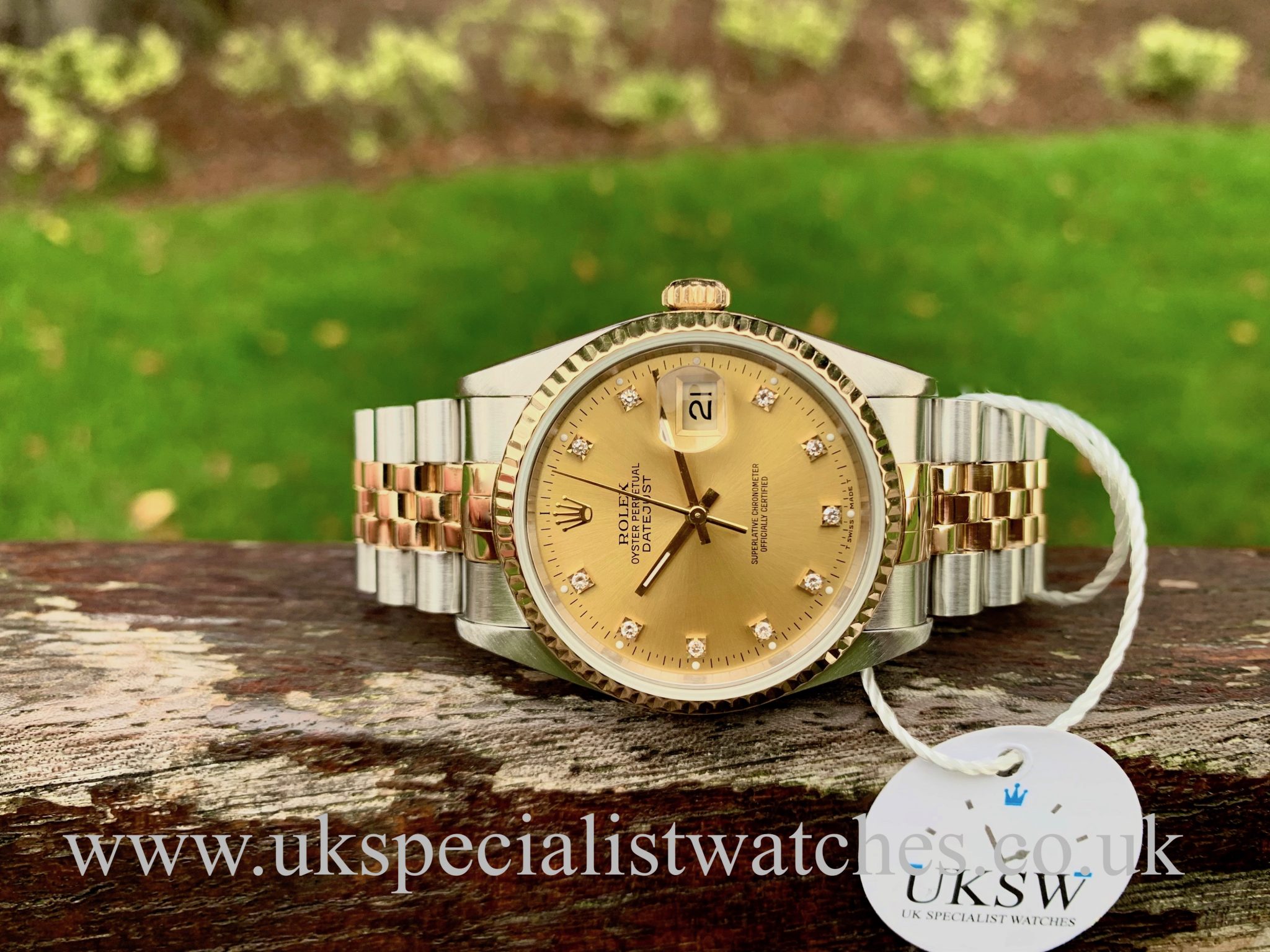 rolex datejust 36mm champagne dial